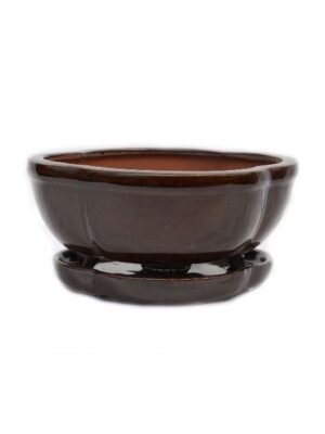 Clover Saucer Attached Glazed Ceramic Bonsai Pots