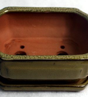 Styled Rectangular Saucer Attached Glazed Ceramic Bonsai Pots