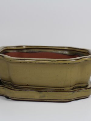 8” Glazed Bonsai Pot w/ Unattached saucer